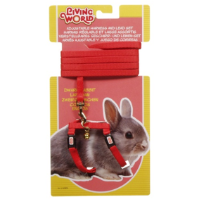 Ensemble laisse et harnais pour lapin nain, ROUGE – LIVING WORLD