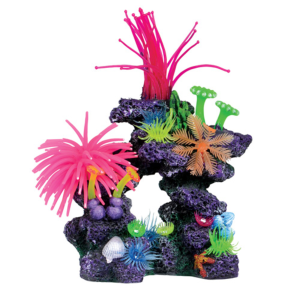 Récif de corail des Caraïbes