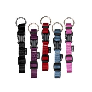 Petit Collier en Nylon Ajustable pour Chiens – Zeus
