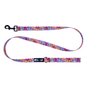 Laisse pour Chien Séries d&rsquo;artistes, Motif Runtsters par Runt – RC Pets
