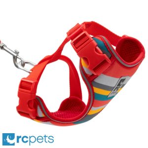 Harnais d’Aventure pour Chat, Motif Multi-Rayures – RC Pets