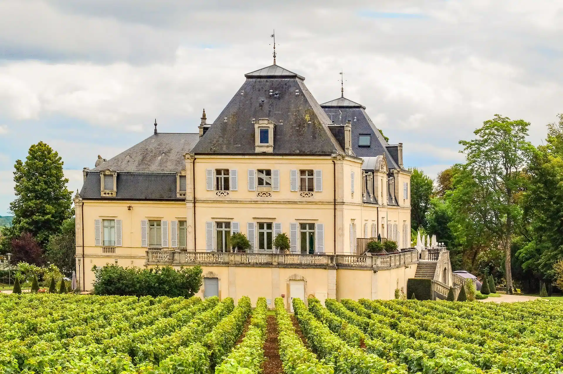 Guide Privé Meursault *** (2h) – Image 4